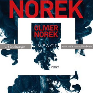 Impact, d’Olivier Norek