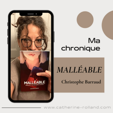 Malléable, de Christophe Barraud